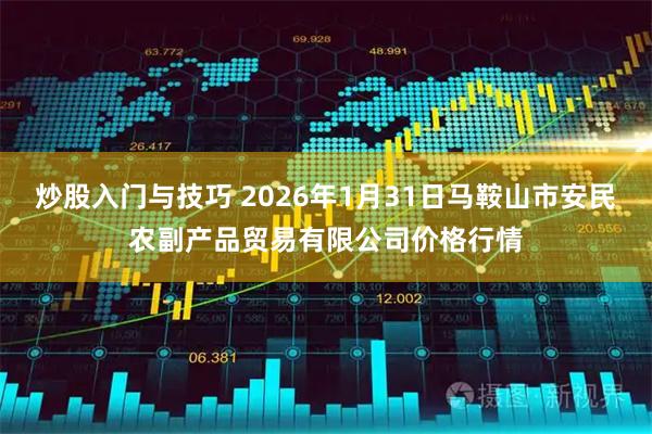 炒股入门与技巧 2026年1月31日马鞍山市安民农副产品贸易有限公司价格行情