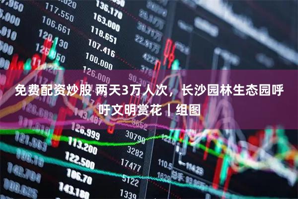 免费配资炒股 两天3万人次，长沙园林生态园呼吁文明赏花｜组图